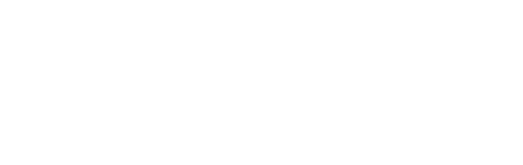 Pulistyle